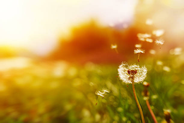 Quiet space for guided breathing